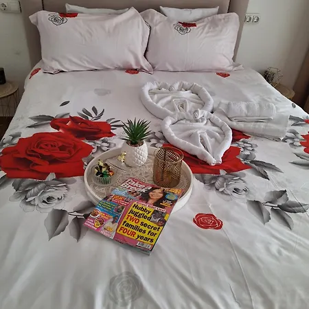 New One Bedroom In Apartment *