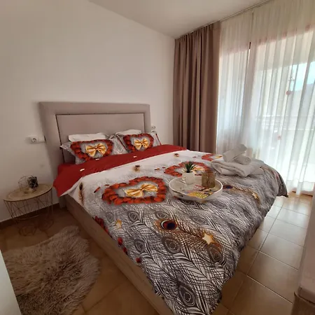 Apartment New One Bedroom In *