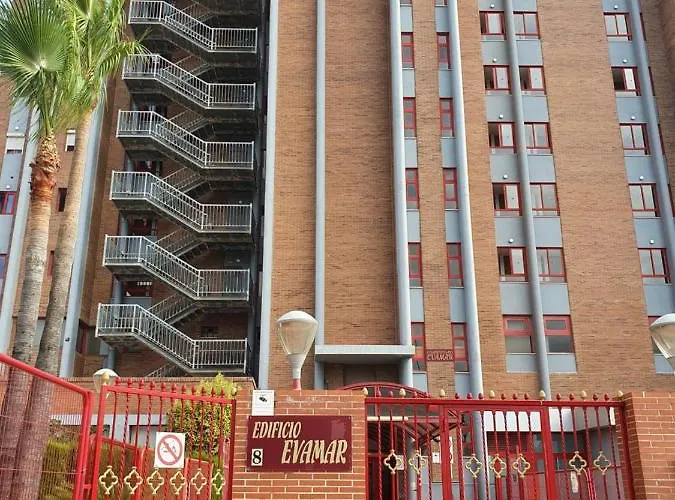 New One Bedroom In 公寓 貝尼多姆