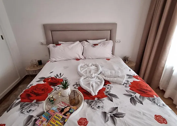公寓 New One Bedroom In